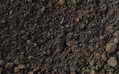 What is the secret behind Dave’s Organic Compost?