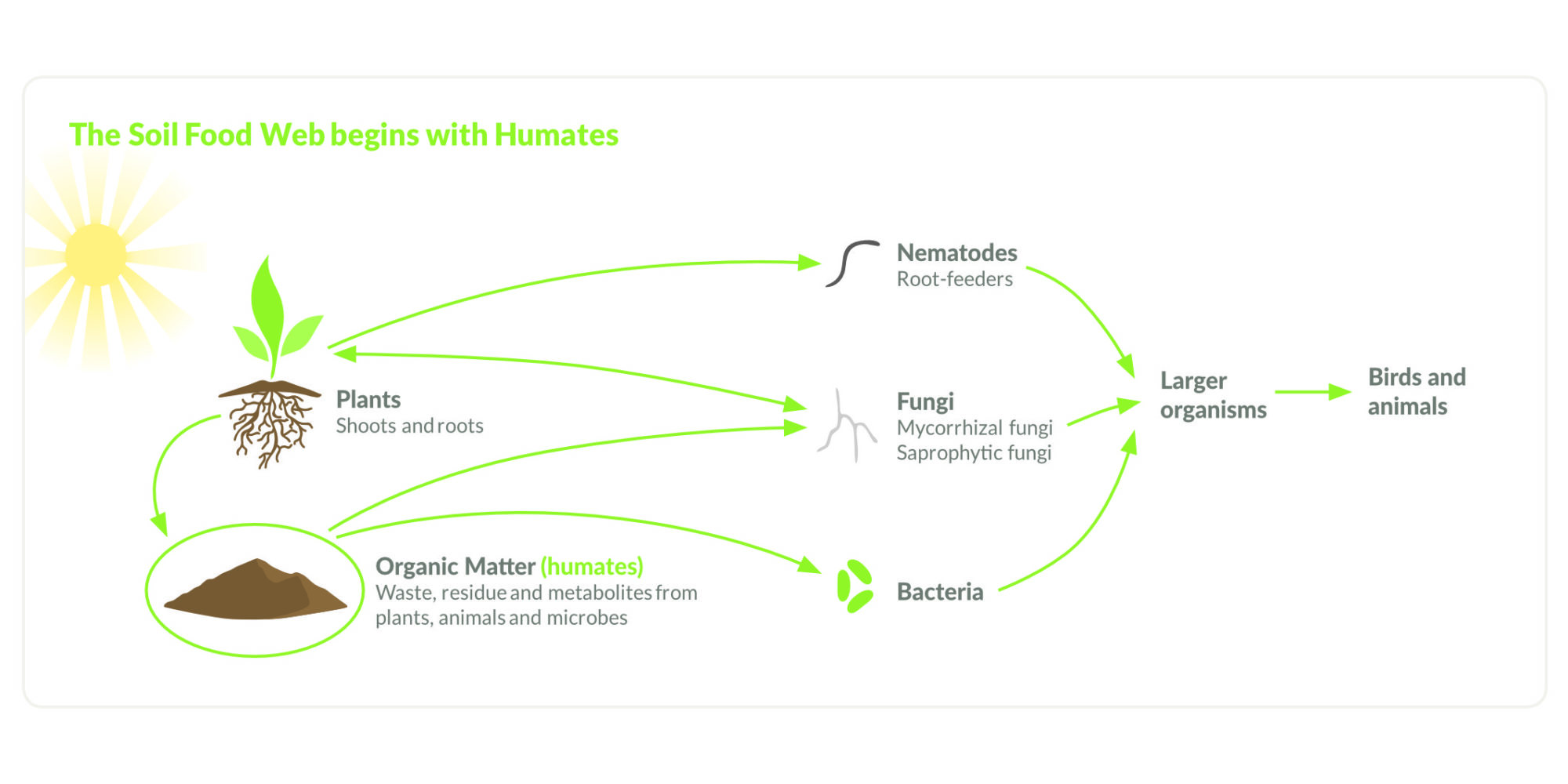 Dave's garden products, Humate, Humates, 