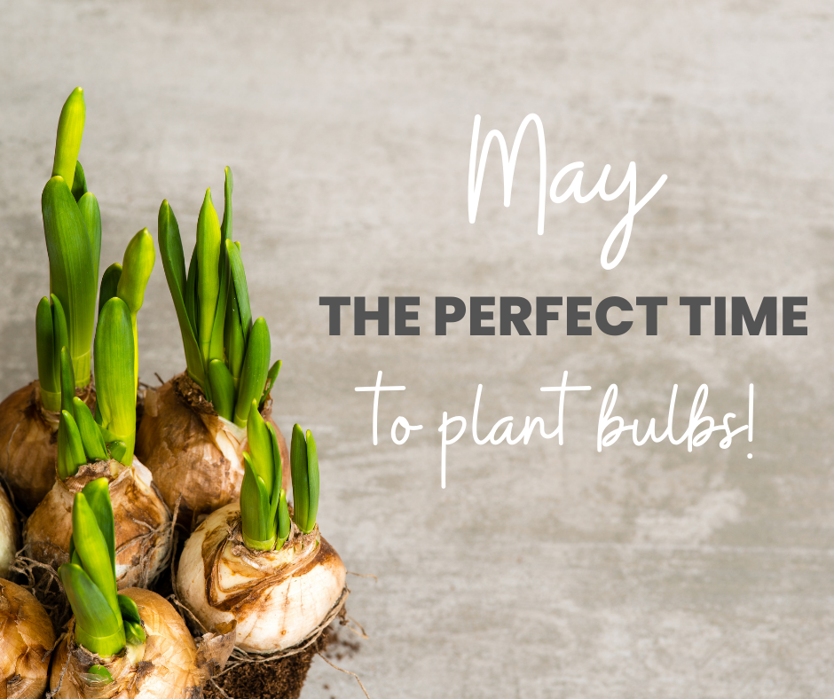 Your garden in May Daves Garden Products