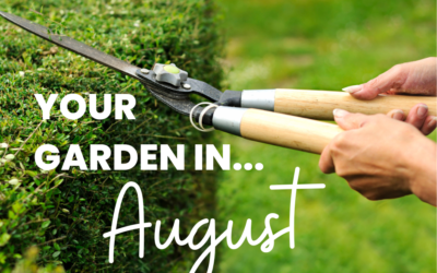 Your garden in August
