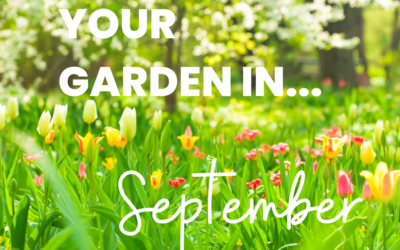 Your Garden in September