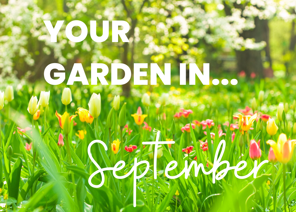 Your Garden in September