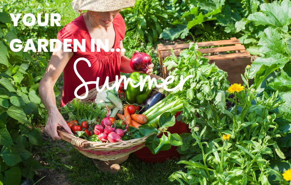 Your Garden in Summer