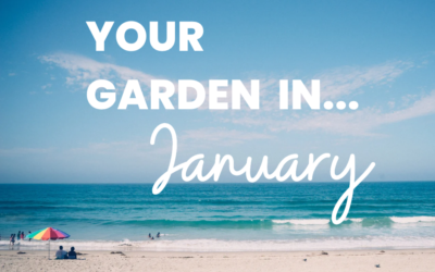 January in your garden