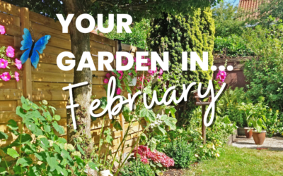 Your garden in February