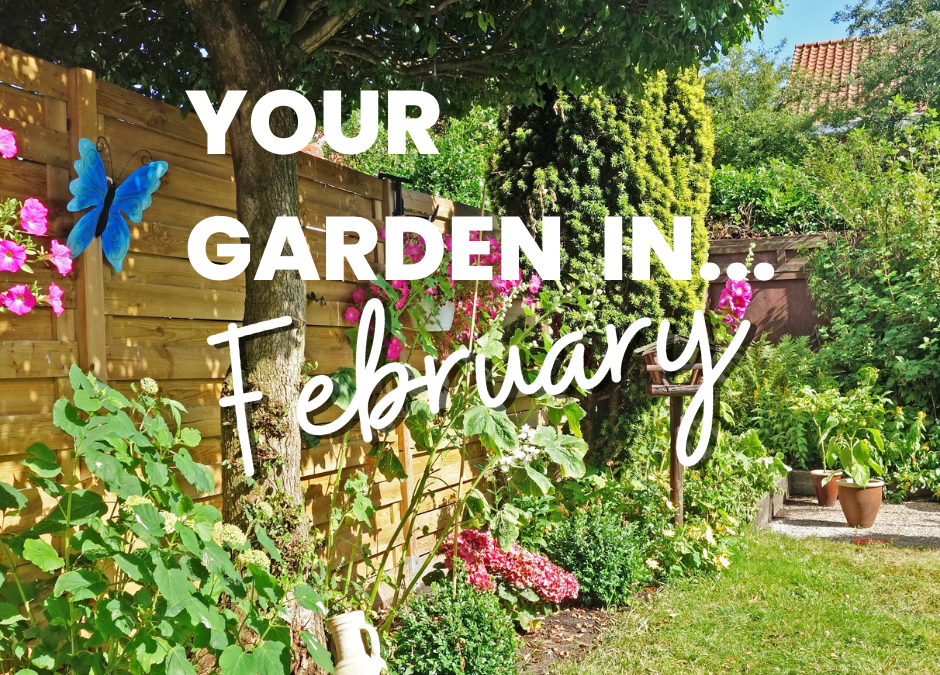 Your garden in February