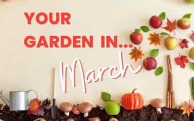 Your Garden in March