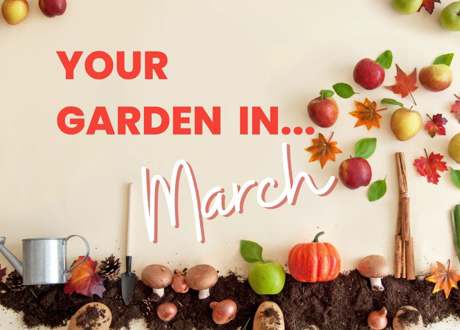 Your Garden in March