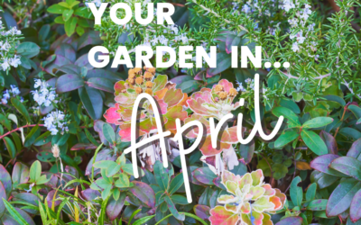 Your Garden in April