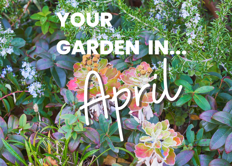 Your Garden in April