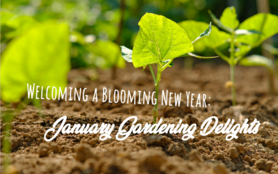 Welcoming a Blooming New Year: January Gardening Delights