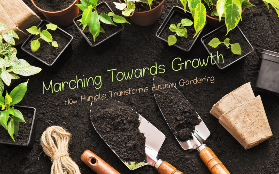 Marching Towards Growth: How Humate Transforms Autumn Gardening