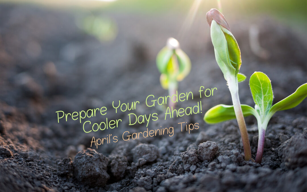 Get Your Garden Ready for Cooler Days Ahead