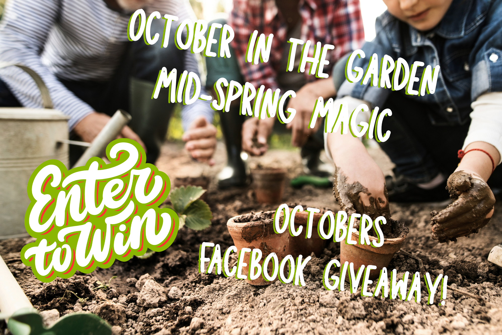 October in the Garden – Mid-Spring Magic